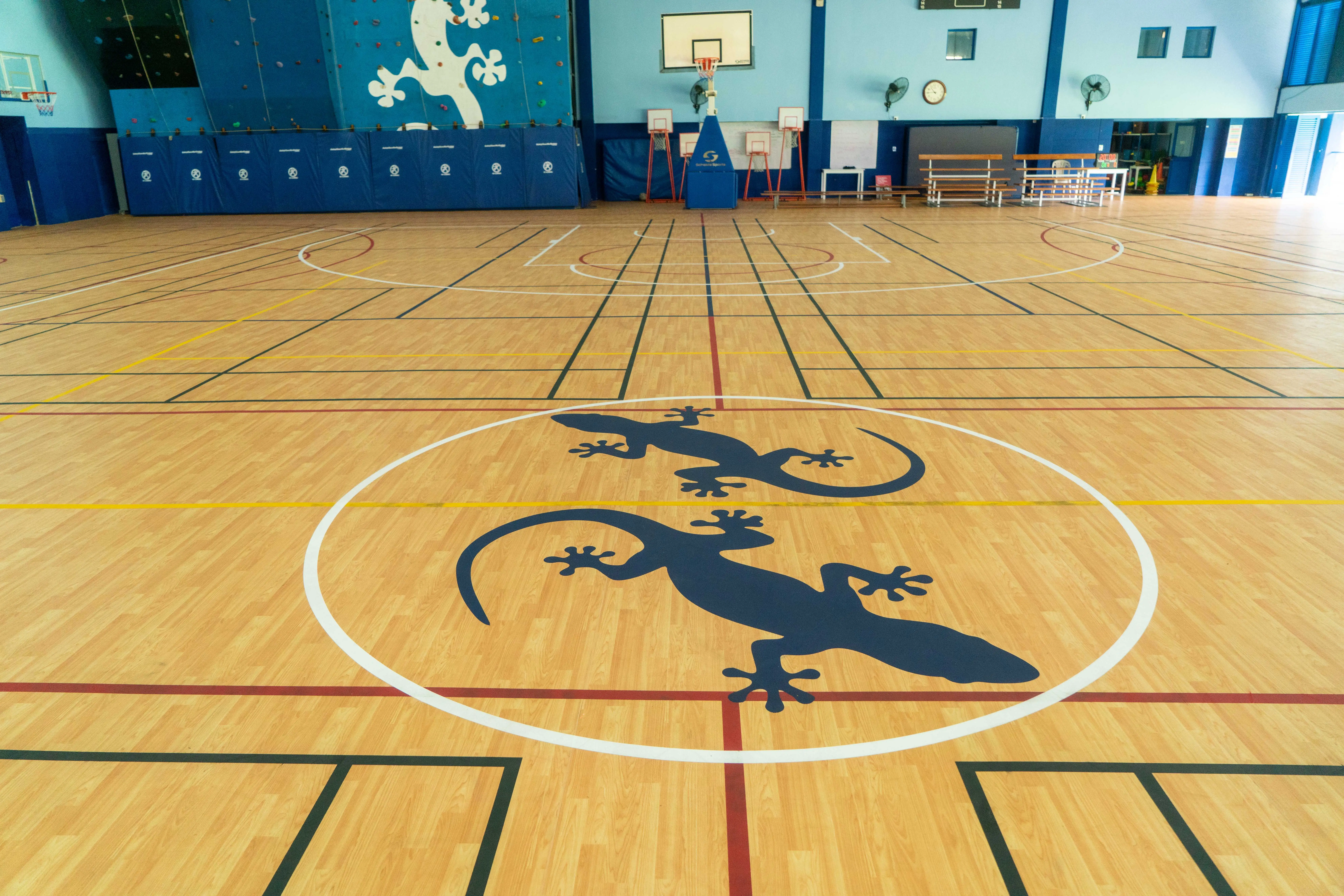 Image about New Indoor Floor at the Gymnasium